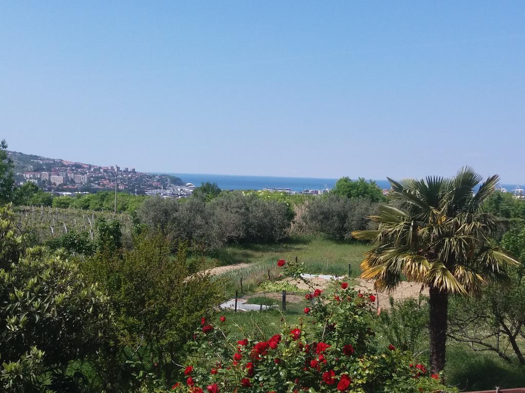 Peaceful View Apartment Koper Exterior photo